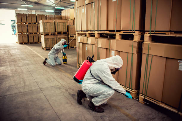 Best Bed Bug Extermination  in Milton, WI