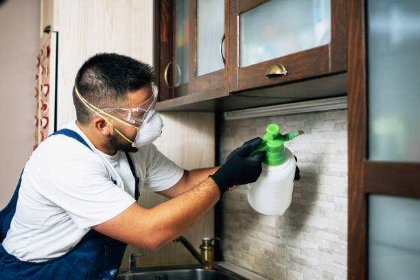 Best Bed Bug Extermination  in Milton, WI