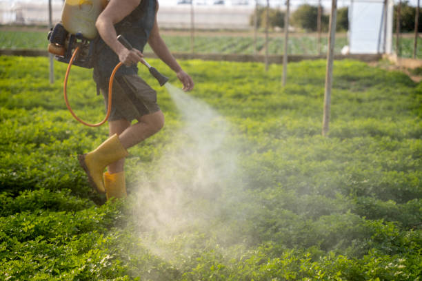 Best Pest Prevention Services  in Milton, WI