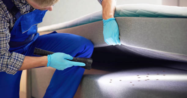 Professional Pest Control in Milton, WI