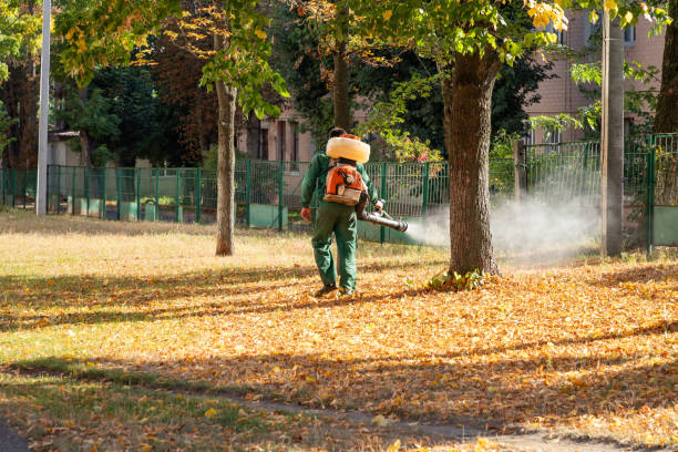 Best Best Pest Control Companies  in Milton, WI